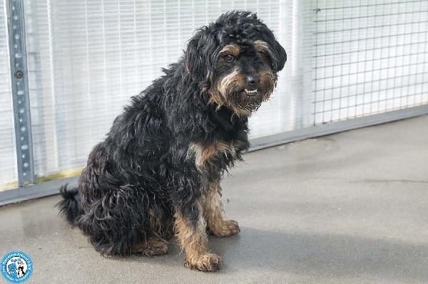 Teo: il riscatto di un piccolo guerriero Foto 4